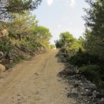 "HACIA EL PANTANO" DE Mª PILAR LÓPEZ PÉREZ