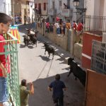 "TOROS" DE LAURA TOMÁS LÓPEZ