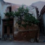 "LA PARRA" DE JOSEFINA GÓMEZ CHENOLL
