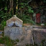 "LA FUENTE" DE JOSÉ MESA MARTÍNEZ
