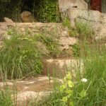 "LA FUENTE" DE Mª JESÚS CALABUIG