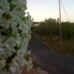 "TARDE DE PASEO" DE CRISTINA MORENO FLOR