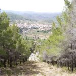 "EL CORTAFUEGOS" DE ÁNGEL PAREDES ROMERO