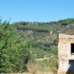 "PAISAJE" DE ESPERANZA ARNAU MAÑES