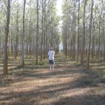 "DE EXCURSIÓN POR TORÁS" DE AMADEO MORENO MOLINER
