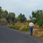 "EL PASEO DE LA TARDE" DE TERESA MOLINA JIMÉNEZ