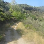 "CAMINANDO" DE ISABEL HERRANZ FLOR