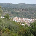 "TORÁS DESDE LAS TRINCHERAS" DE FRANCISCO MIGUEL MIRAS ALCAIDE