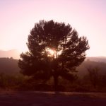 "PUESTA DE SOL" DE PATRICIA FARGUETA MACIÁN