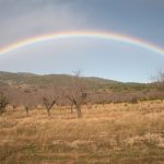 "ARCO IRIS" DE JOSÉ VICENTE SANZ VALERO