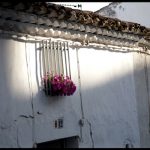 "PUERTA 12" DE SUSANA MARQUÉZ MADUEÑO
