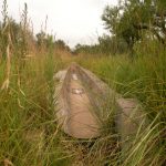 "LA ACEQUIA DE SAN JUAN" DE Mª DEL MAR LOZANO LORENTE