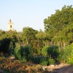 "LA HUERTA TORASERA" DE REBECA LAMAS SÁNCHEZ