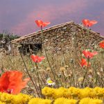 "FLORA" DE JAVIER FABRA RODRÍGUEZ