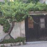 "PARRA VERDE" DE DULCE HERNÁNDEZ RONDA