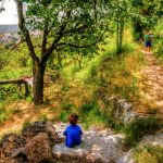 ESCENA SILVESTRE DESDE LA FUENTE DEL CHORRILLO" DE PACO BARREDA CENTELLES