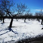 "INVIERNO" DE PILAR ALCAYDE OLIVER