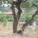 "EL HOMBRE Y LA TIERRA" DE VICENTE MACIÁN GÓMEZ