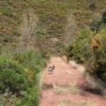 DESCALIFICADA:"MELANCOLÍA DE OTOÑO" DE DORI FABÁ LÁZARO