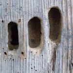 "CERRADURAS" DE ALBA MONLEÓN SANTOS