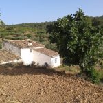 "LA UMBRÍA" DE MARÍA DEL MAR LOZANO LORENTE