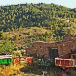 "VERDE TORÁS" DE SERGIO PELEGRÍ PÉREZ