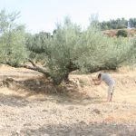 "LABOR" DE PASCUAL NIETO DURÁ