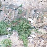 "TEJAS EN EL SUELO" DE ÁNGEL MANUEL PAREDES ROMERO