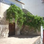 "LA PARRA" DE ELENA PUCHADES ALARCÓN