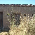 "LA MALEZA LLENA LA ERA DESIERTA" DE ELENA PUCHADES ALARCÓN