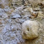 "PITORRO" DE ANTONIO MACIÁN MACIÁN