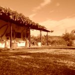 "CASA DE CAMPO" DE Mª LORETO LÁZARO MAÑES