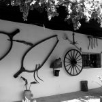 "ESPERANDO LA VENDIMIA" DE BLAS MAÑES MACIÁN