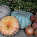 "CAMPANARIO" DE DAVID PIQUERAS APARICIO