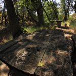 "MERENDERO DEL PANTANO" DE JORGE JIMÉNEZ