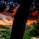 "ODISEA DE FUEGO" DE MARÍA TERESA ALIAGA ALMAZÁN