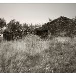 "CASA DEL CAMINO AL PANTANO" DE JOSÉ JIMÉNEZ