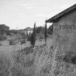 "DOS ESTACIONES Y NINGÚN DESTINO" DE FRANCISCO MIRAS ALCAIDE