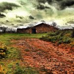 "LA CASA DEL PANTANO" DE JOSEFINA CABO FIDELI