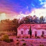 "AL FINAL DEL DÍA" DE TERESA CABO FIDELI