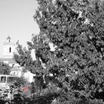 91A+La+belleza+de+Tor$C3$A1s+y+la+contaminaci$C3$B3n+visual+W