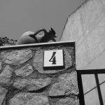 "JARRÓN EN PORTAL" DE JUSTO JIMÉNEZ CELADA