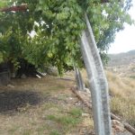 "QUITAMIEDOS" DE JOSÉ VICENTE SANZ VALERO