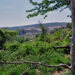 "VESTIGIOS DE LA FUENTE" DE ANTONIO MONTINS GIL