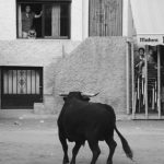 "AFICIÓN" DE ALBERT DE JUAN SAN ANTONIO