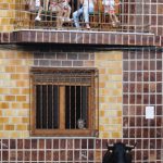 "LOS TOROS EN FAMILIA" DE ALBERT DE JUAN SAN ANTONIO