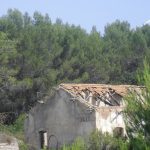 "ESTACIÓN" DE PATRICIA FARGUETA MACIÁN