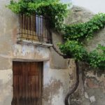 "EL RINCÓN DE LA PARRA" DE PILAR ALCAYDE OLIVER