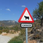 "SAN JUAN DE CANADÁ" DE MARÍA DEL MAR LOZANO LORENTE