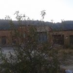 "ALMENDRO EN LAS ERAS" DE JAVIER FABRA RODRÍGUEZ